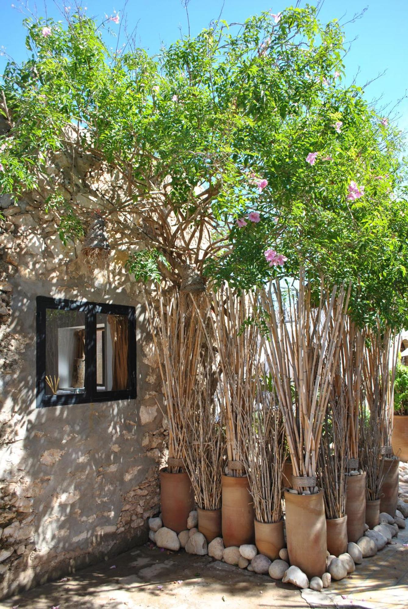 Maison Sidi Et Lalla Essaouira Exterior foto
